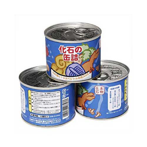化石の缶詰